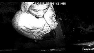 Surveillance Video: Suspects in Aggravated Assault on Walnut