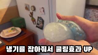 쿠팡 추천템 아이스 큐브 말랑이 추천 2