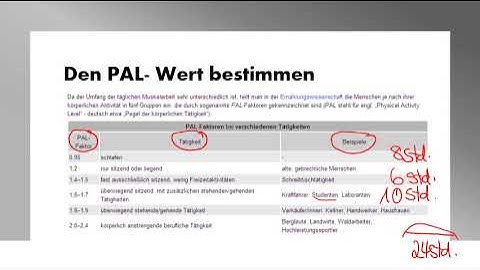 Energieberechnung - mit PAL-Wert Bestimmung