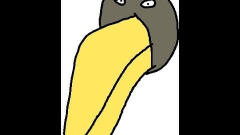 R E P O  Tumble Launch