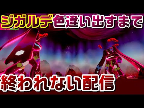 【ポケモン剣盾】参加型伝説全部色違い計画 22勝12敗～色違いジガルデ厳選 出すまで終われない配信 ダイマックスアドベンチャー【鎧の孤島】【冠の雪原】