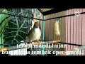 Terapi Mandi Hujan Buat Kapas Tembak Oper Emosi Mp3 - Mp4 Download