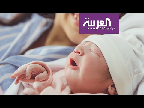 فيديو: كيف يساعد الزعفران في الحمل؟