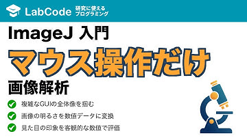 【画像解析入門 #3】ImageJ/Fiji入門！マウス操作だけでできる画像解析の基本