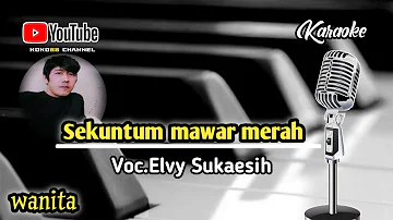 Sekuntum mawar merah || karaoke || by Elvy Sukaesih || Cover musik dangdut || versi keyboard