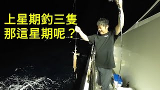 【海釣船釣魚】上星期衝了今年夏天的首班透抽班但只釣了三隻這星期再衝一班大家覺得可以釣幾隻呢