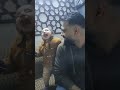Papa Ke sath masti #viralvideo #shorts #papa #shortvideo #cutebaby