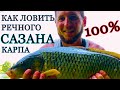 КАК ЛОВИТЬ РЕЧНОГО КАРПА,САЗАНА И АМУРА???ЛОВЛЯ КАРПА НА РЕКЕ ДНЕСТР САМАЯ УЛОВИСТАЯ СНАСТЬ НА КАРПА