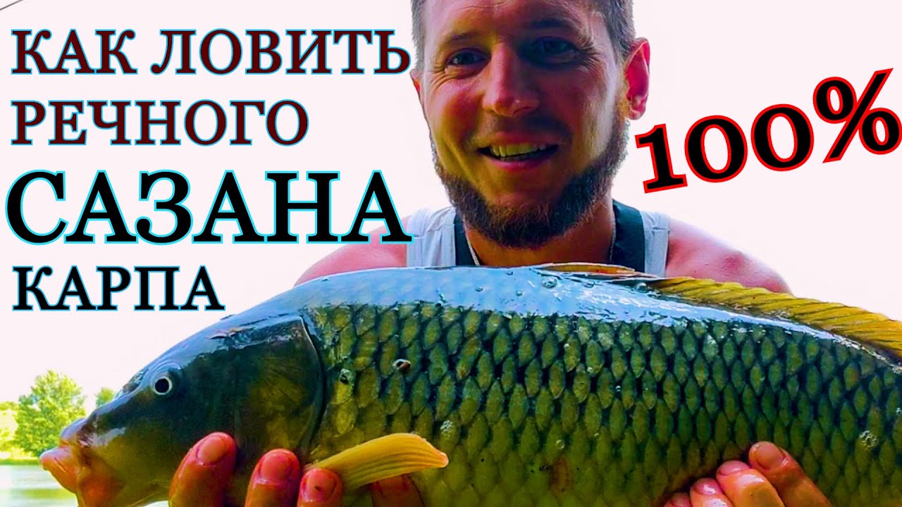 рыбалка на белого амура в реке днестр
