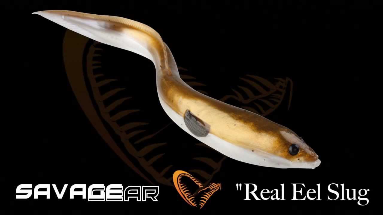 savage eel