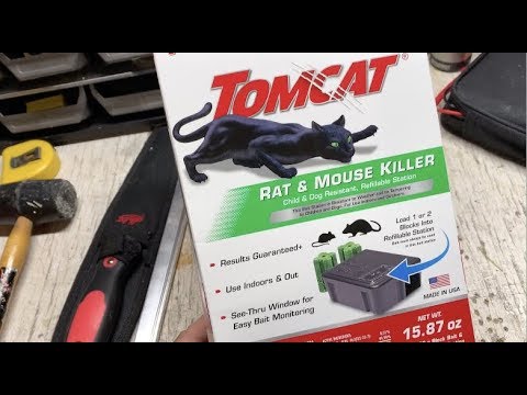 How to set up a Tomcat mouse and rat box