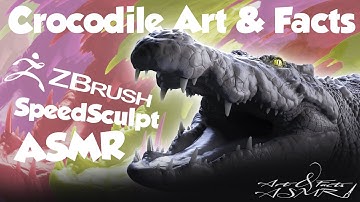 ASMR Crocodile Art & Facts🎨 & ZBrush Speed Sculpt Time lapse 🖌️