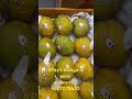#payri Mango in pune#mangoes in pune #mangoes #mango #payri mango