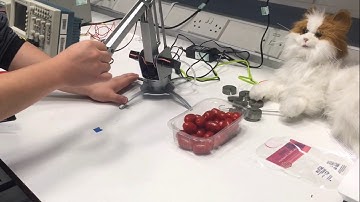 Tomato pick and place with the uArm using Programming by Demonstration (PbD)
