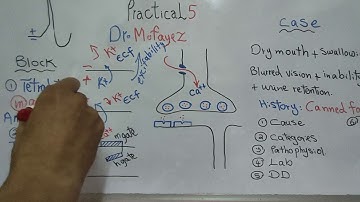 Practical 5 (Block, Effect of ECF ions on Excitability, Cases) First year Dr Mohamed Fayez