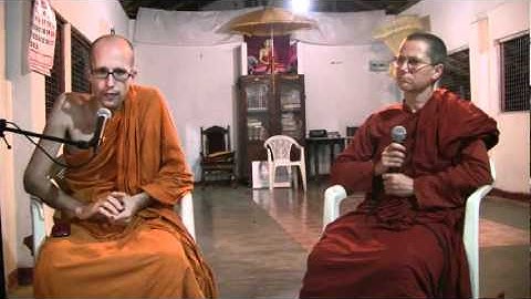 Ask A Monk: Are the Mind and Brain Different?