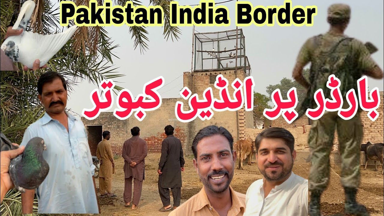 Pakistan India border py indian kabotar dekhy aj 😍💯 Part 1