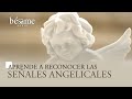 Mensaje de los ángeles: Aprende a reconocer las señales angelicales