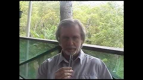 When EMDR Might Be Useful For You - Processing of Traumatic Memories