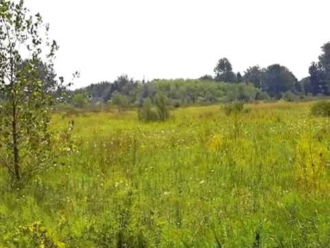 3133 Stratford Ln, Flushing, MI home video tour