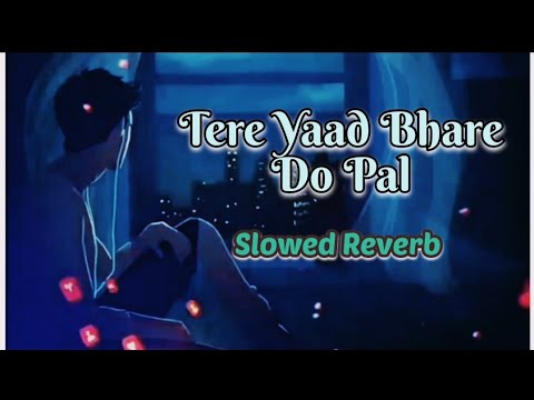 Tere Yaad Bhare Do Pal Song   Slowed Reverb Lofi Song   Junoon 