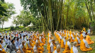 Thiền Quán NIKAYA - Về Núi Yên Tu Đẹp Tuyệt Trần & Thiền Biết Ơn Cha Mẹ