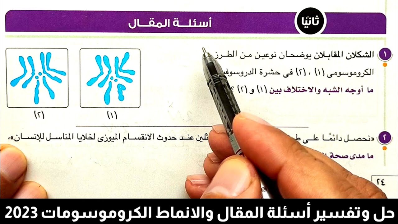حل وتفسير أسئلة المقال وانماط جديدة الكروموسومات 2023 احياء أولى ثانوى الترم الثاني