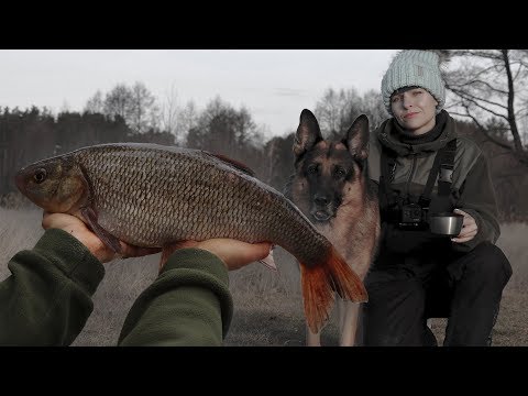 Video: Burbot Gecəsi