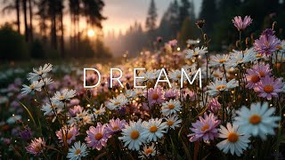 Relaxing Guitar | Peaceful Acoustic Melodies for Deep Sleep & Calm Focus - Sunset Strings