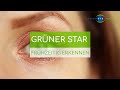 GRÜNER STAR - Wie Sie Symptome frühzeitig erkennen und Risiken einschätzen mit dem Augen-Test