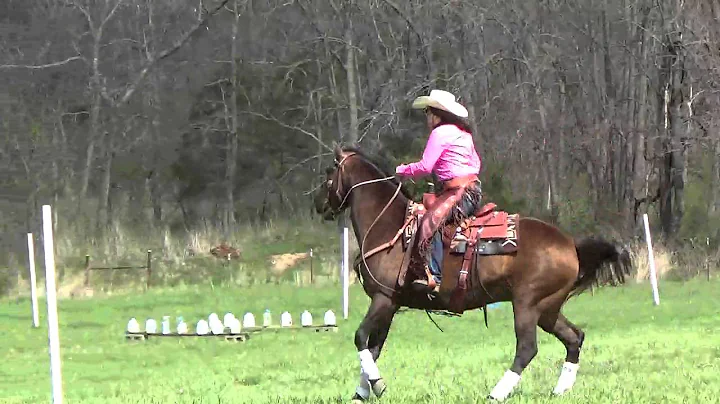 Vicki Dorsey-UHCA- 2016