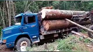 MÁFIA DA TORA:4 top vídeos de caminhão subindo morro
