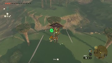 [DAY 653] of finding one korok seed in TotK everyday until we get them all