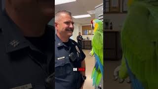 🦜 Parrot vs Police 😂 | Viral Funny Moments |  Savage Parrot Roast 😏 | You Won’t Stop Laughing
