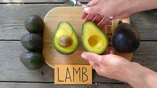 Lamb/Hass avocado: a profile