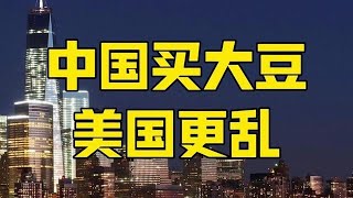 第932集 | 中国买了大豆,美国将陷入更大混乱,特朗普笃定输掉中期选举 #美国大豆 #中美会谈 #特朗普 #关税 #零距离看懂财经