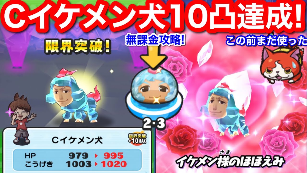 無課金 Cイケメン犬極 10凸完成！まだ使う！種族効果アップ クリスタル 