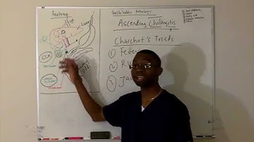 Ascending Cholangitis- lecture in HD!