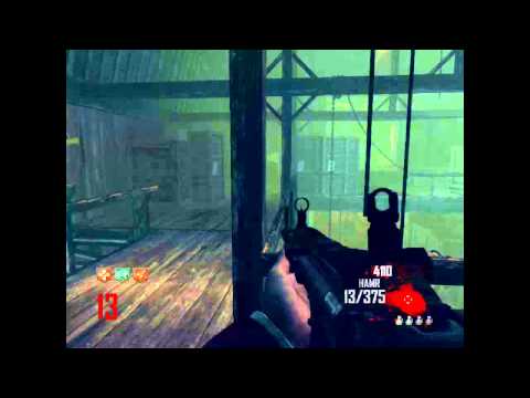 Black Ops 2 WTF Quick Revive Disappeared