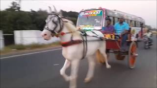 Ghoda pishori mera tanga lahori  mera -Mohd Rafi. Enjoy the sawari, Rafi Sahab all the way non stop!