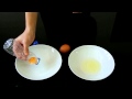 Cómo separar la clara y la yema de un huevo