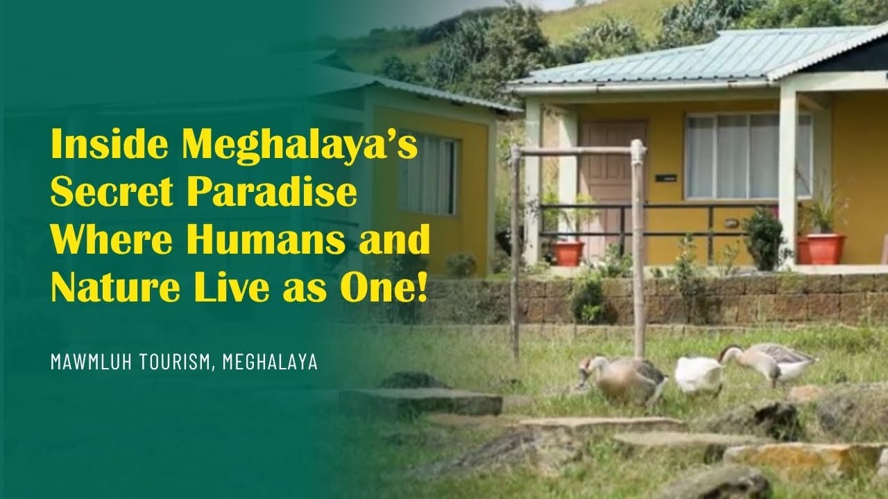 Saving Meghalaya’s Green Heart | Mawmluh’s Inspiring Eco-Tourism Story | IRTSA Meghalaya 2025