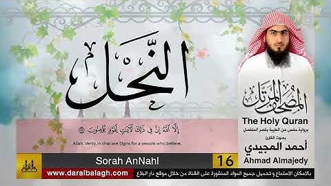 16 | سورة النحل | مصحف القارئ: أحمد المجيدي Ahmad Almajedy
