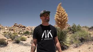 All Knowledge - The Brand About The Journey