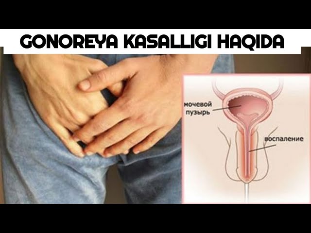 Yetuk silikon kokrak porno Kichkina mushukdagi ulkan dik