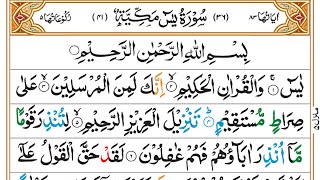 Surah Yaseen | Yasin | Episode 90 | Daily Quran | Tilawat Surah Yasin | Yasin Full Surah