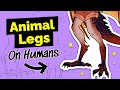 Dont draw animal legs like this