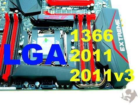 EXTREME  Sockets (ტოპ სისტემების განხილვა)