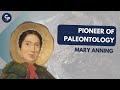 Mary anning historys pioneer of palaeontology