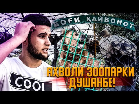АХВОЛИ ЗООПАРКИ ДУШАНБЕ!